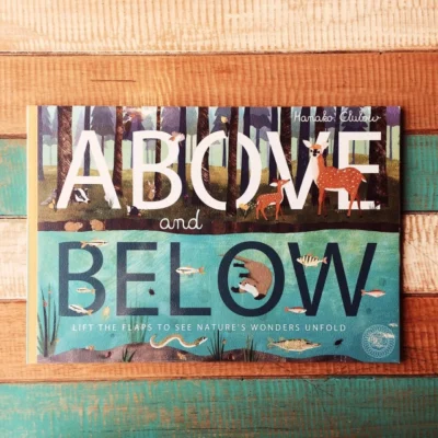 Above and Below