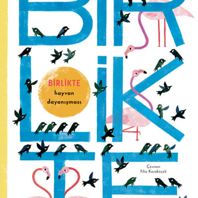Birlikte