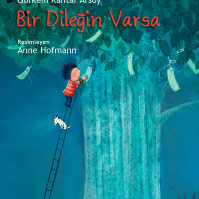 Bir Dileğin Varsa (Karton Kapak)