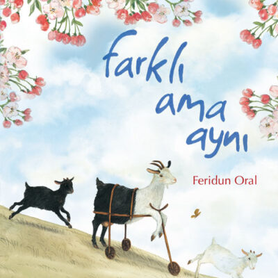 Farklı Ama Aynı