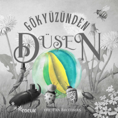 Gökyüzünden Düşen